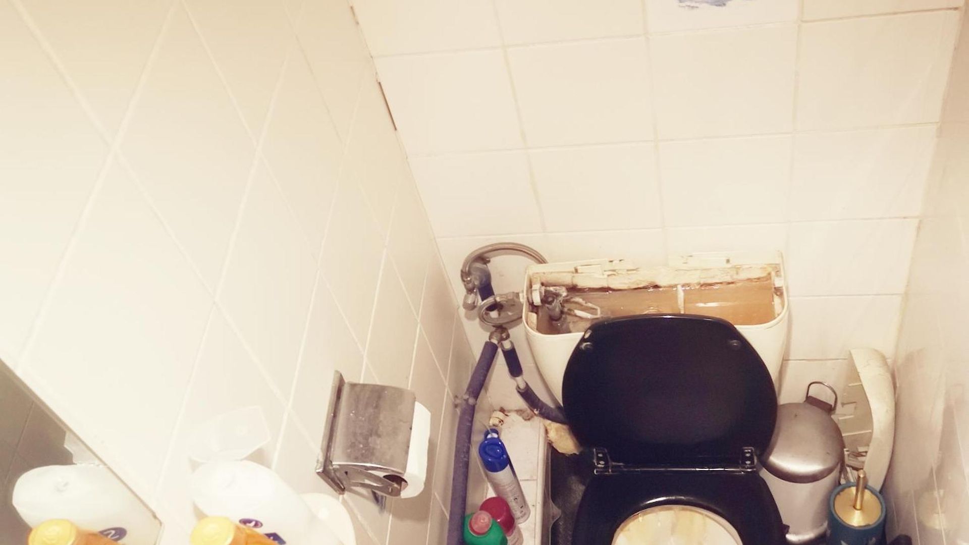 Trapmouse Hostel *