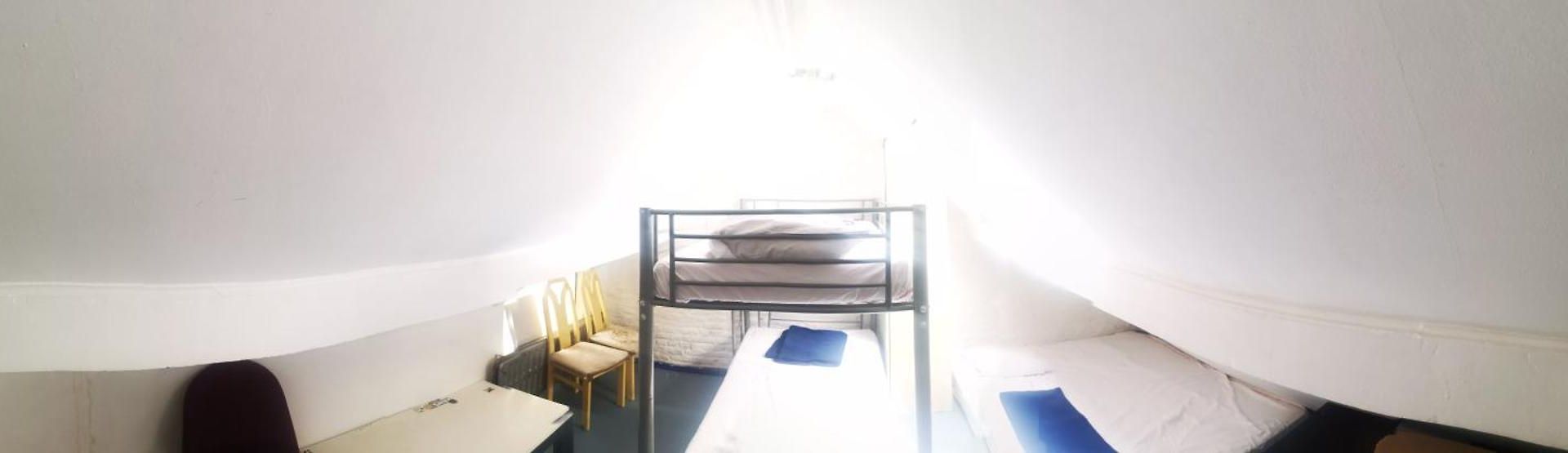 Hostel Trapmouse *