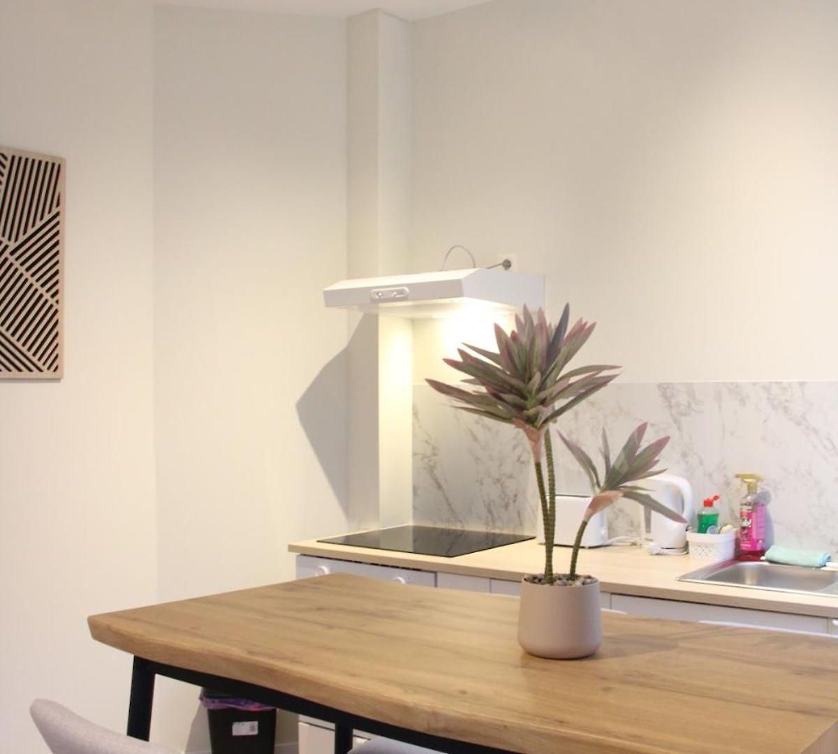 Moderne,5pers,acces Facile Au Centre,berchem Brussels