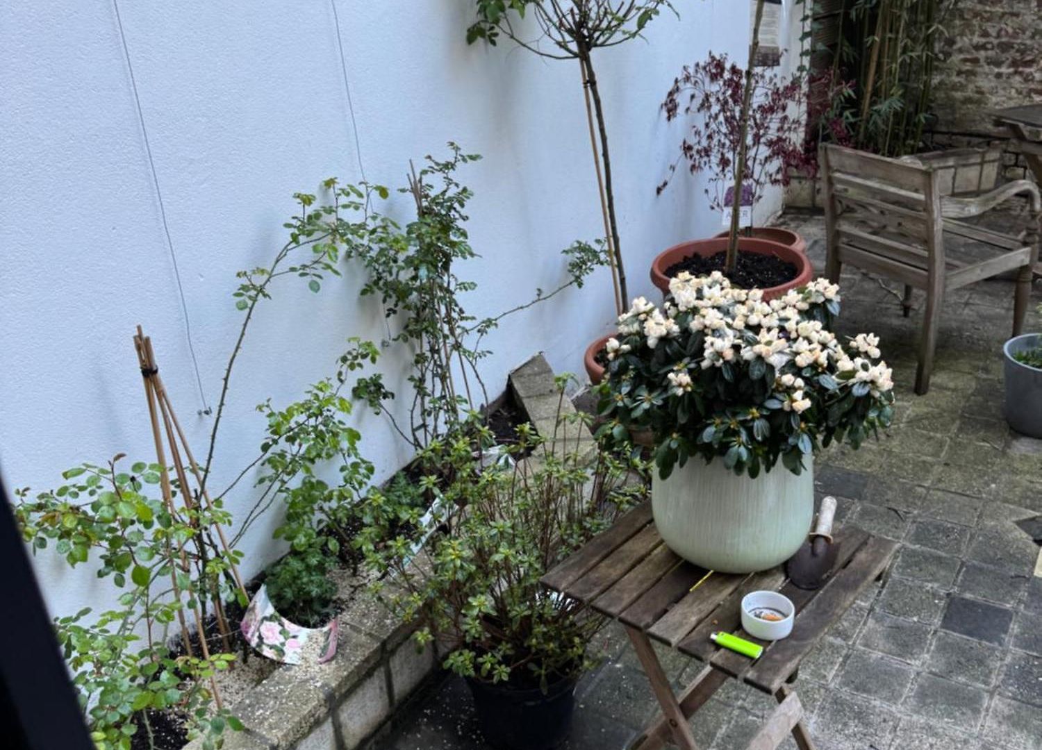Apartment Hautes Prestations Brussels