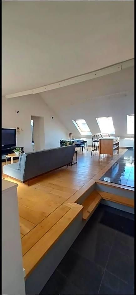 Comf. 2 Bedroom Penthouse In Center 2*