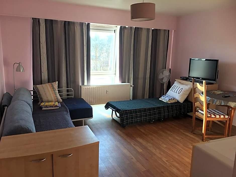 Apartment солнечная комфортная студия в андерлехт с лифтом
