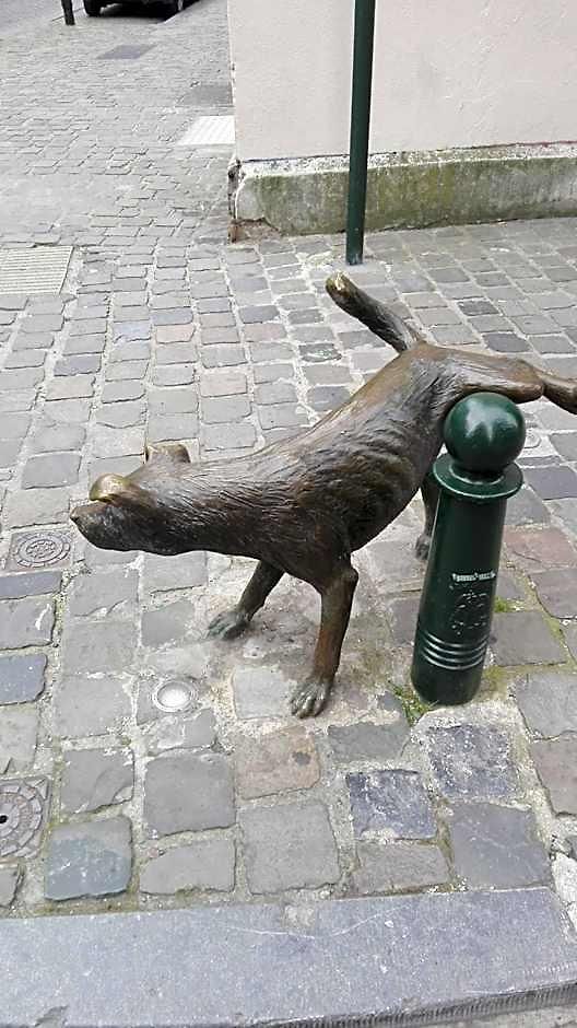 36 Brussels