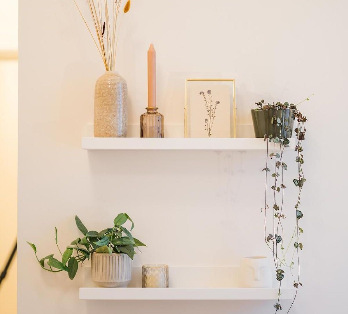 Apartment Your Wellness Sanctuary - Private Sauna And Gym Brussels