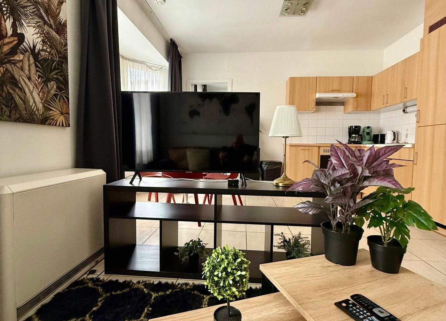 Apartment & Elegant Close To The European Parliament Brussels