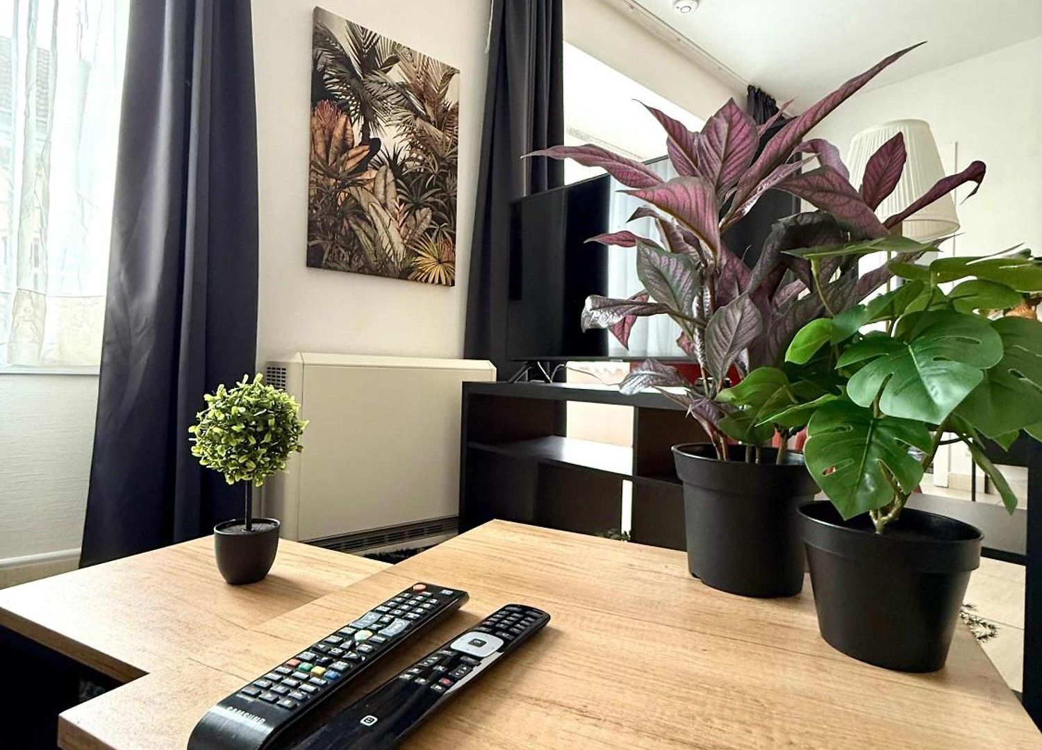 Apartment & Elegant Close To The European Parliament Brussels