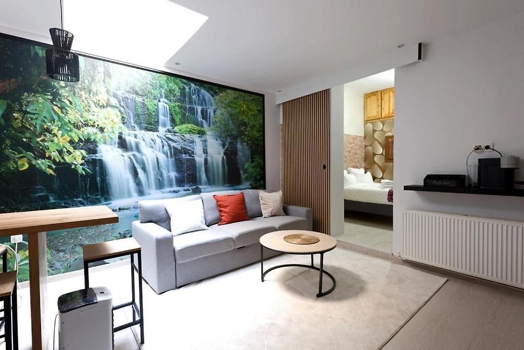 Cozy, Bright 2-bedroom Duplex In Brussels-laeken *