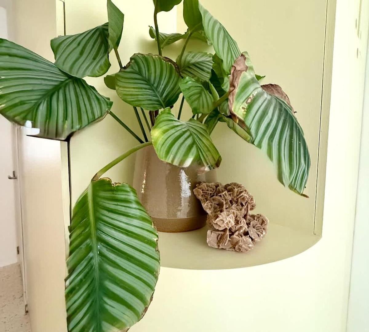 Apartment 2 Bedrooms - Baby Crib & Furnished Terrace In Lovely *