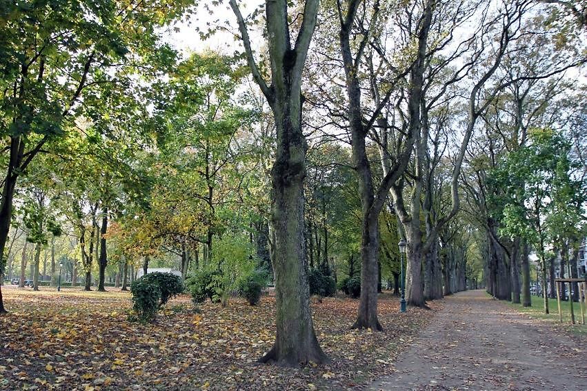 Appartement Parc Brussel