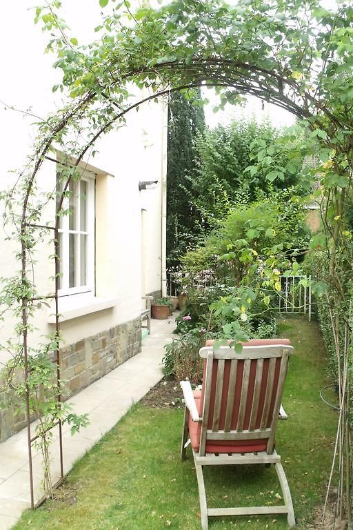 Les Bouleaux *