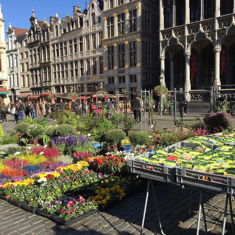 Les Bouleaux * Brussel