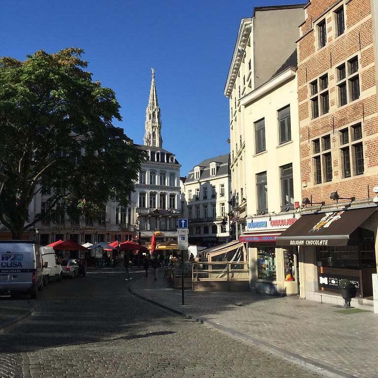 Les Bouleaux