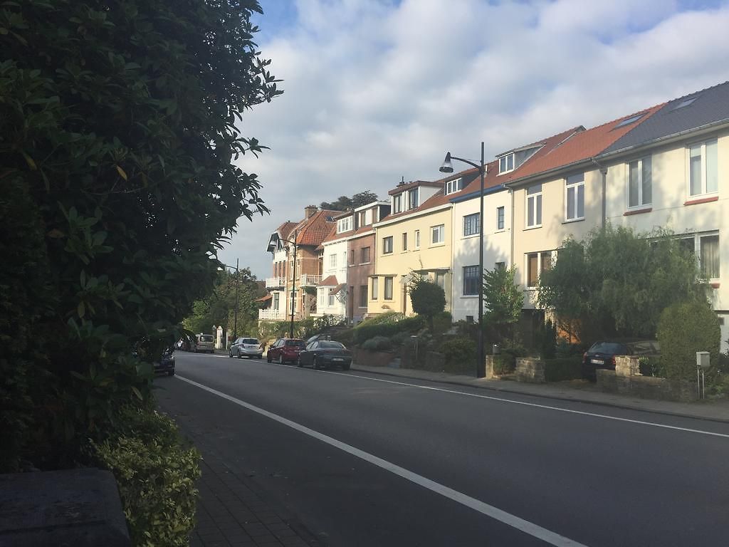 Les Bouleaux Brussel