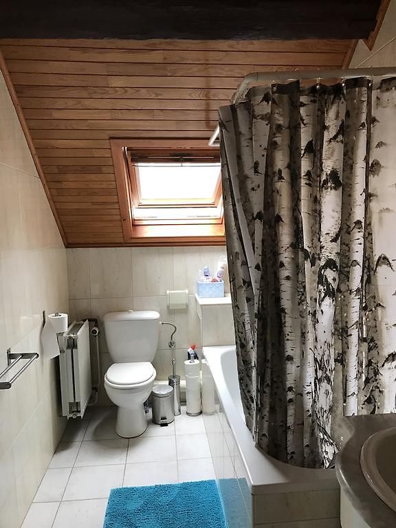 Bed & Breakfast Ambiorix Birch House *