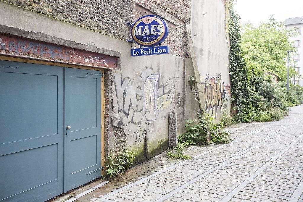 Gasthuis Les Chambres Du Petit Lion
