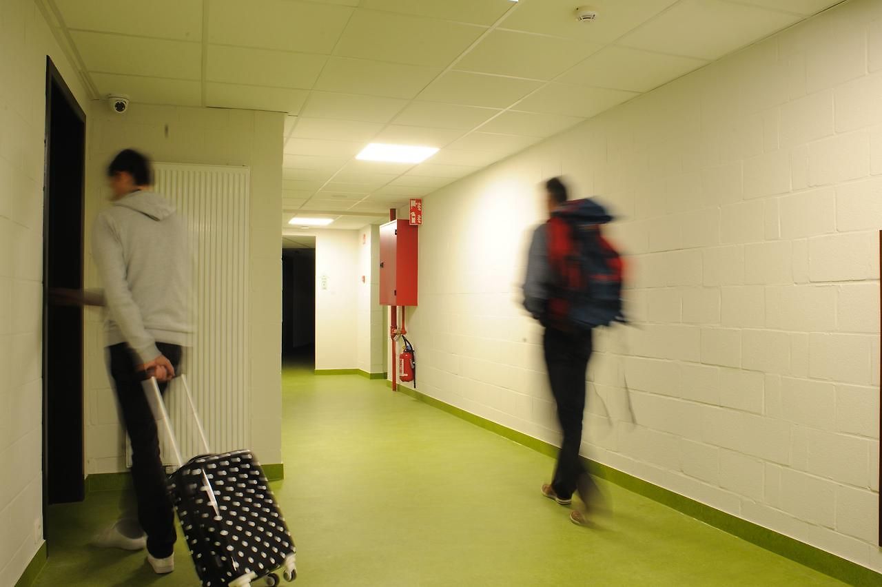 Bruegel Hostel