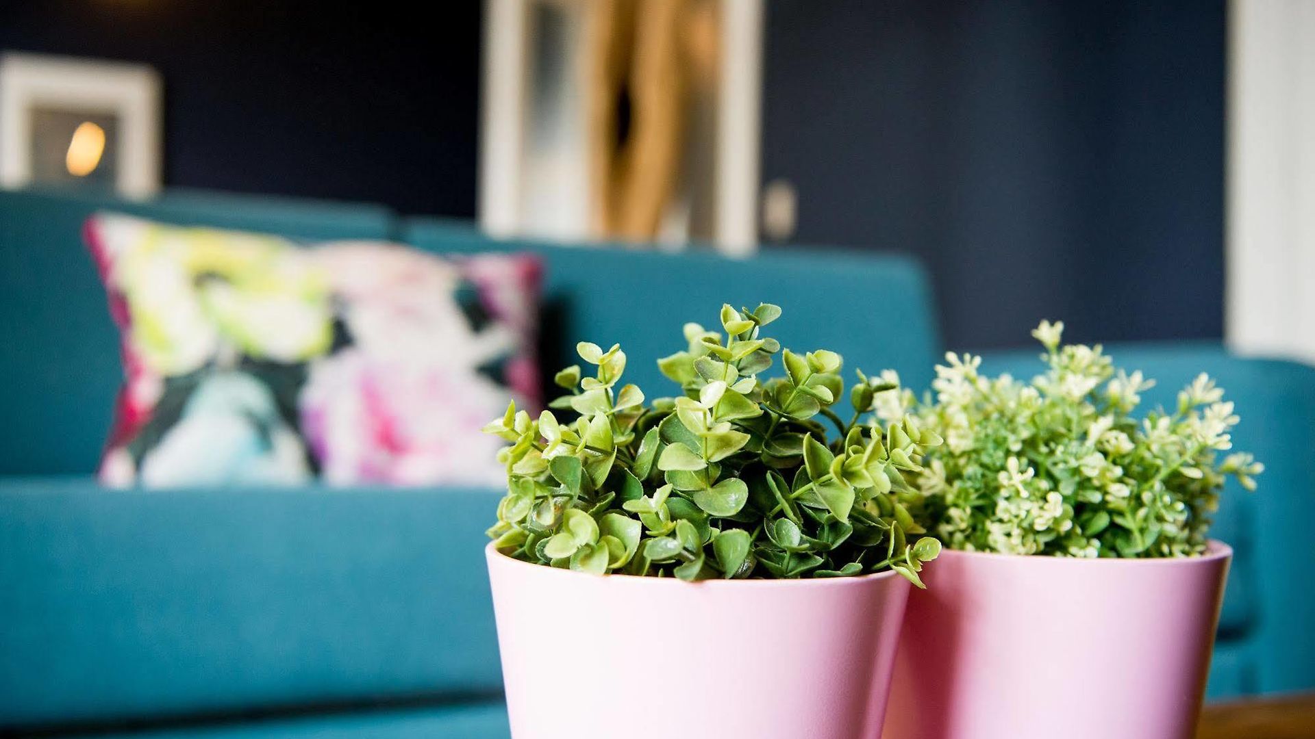 Appartement Smartflats - Gaite Brussel