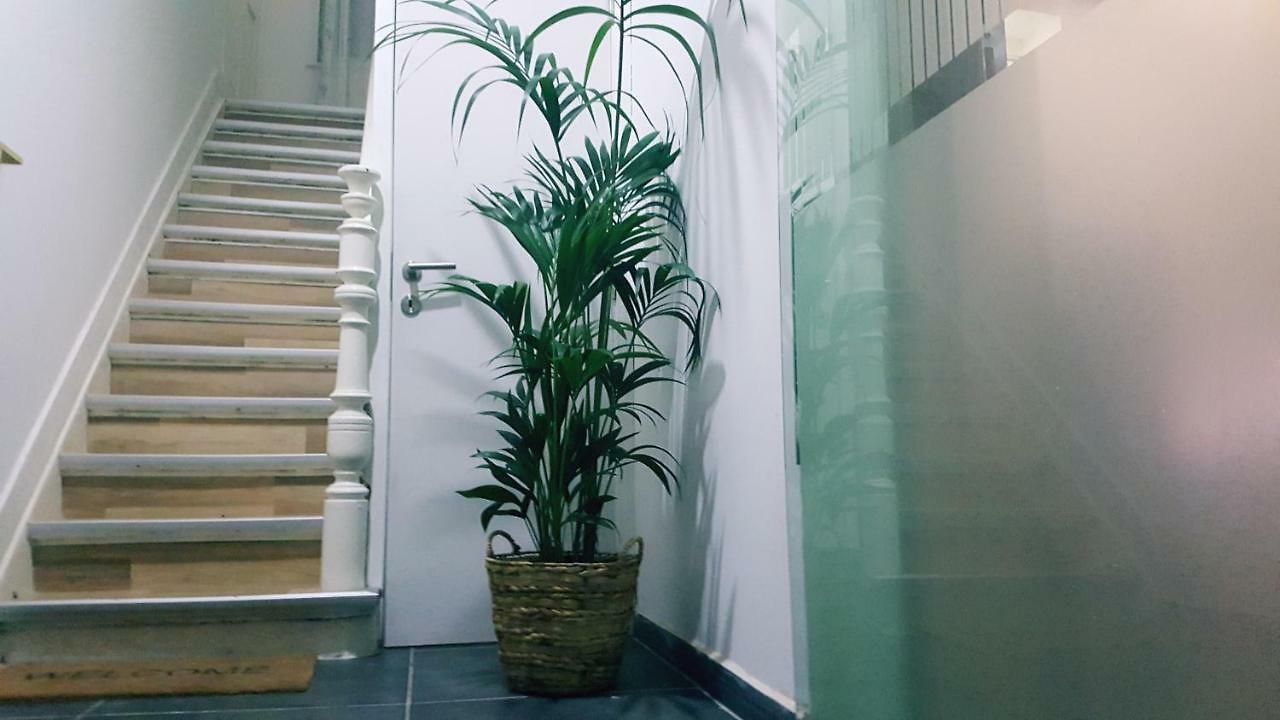 Artistic World Apartment *