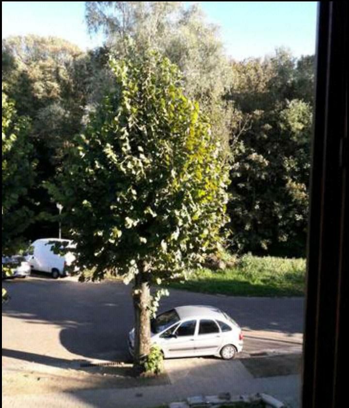 Chez Mimi - Vue Parc Brussel