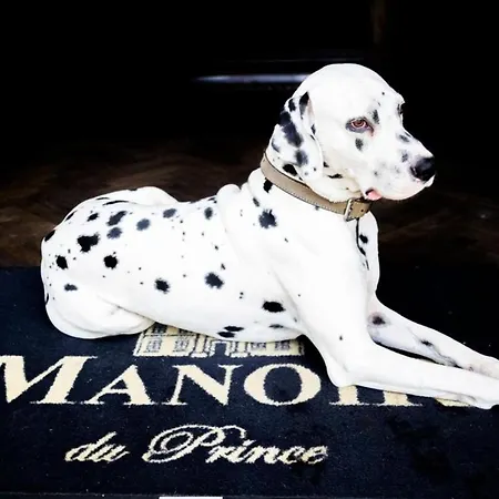 Le Manoir Du Prince De Liege 3* Brussels