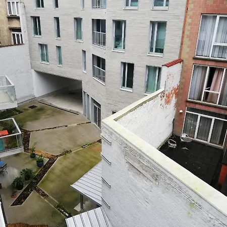 Tagusnunus Brussels