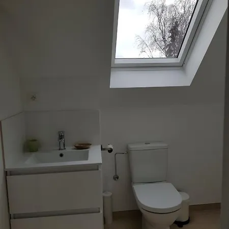 Maison Des Fleurs Brussel