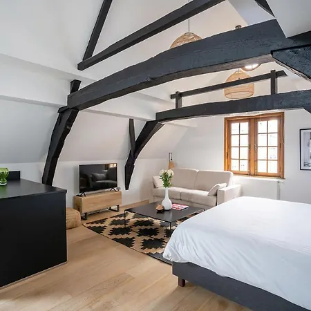 Appartement Smartflats - Grand-place Ii Brussel