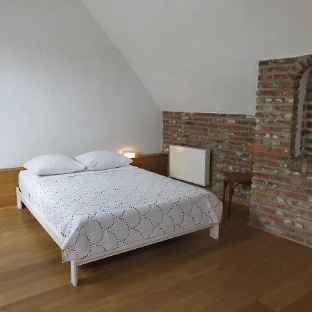 Chambre Dans Un Appartement De Charme Au Coeur De Bruxelles Bed & Breakfast Brussels
