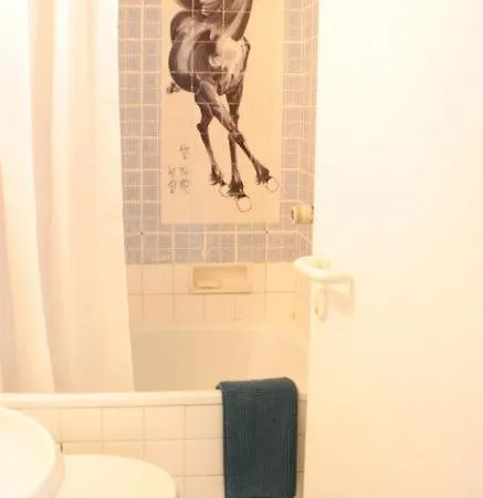 Bed & Breakfast Chambre Dans Un Appartement De Charme Au Coeur De Bruxelles Brussels