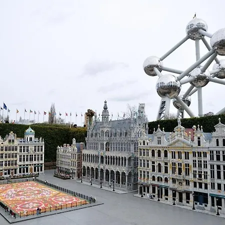 Cinquantenaire