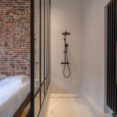Spacieuse Maison De Ville Proposant 3 Aux Alentours Des Etangs D'ixelles Apartment