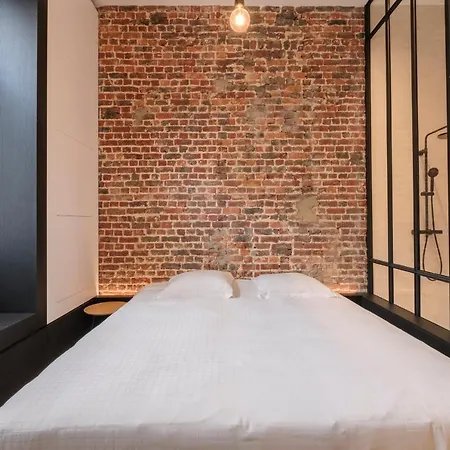 Apartment Spacieuse Maison De Ville Proposant 3 Aux Alentours Des Etangs D'ixelles
