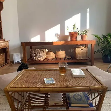 Superbe Avec Jardin, Sauna Et Jacuzzi Apartment Brussels