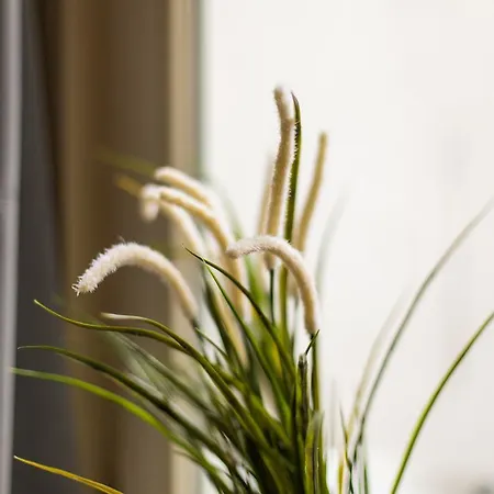 Cityzen Grand Place Apartment