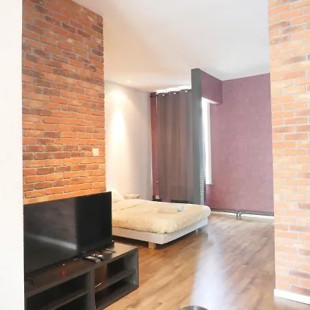 Loft Atypique Avec Terrasse Brussels