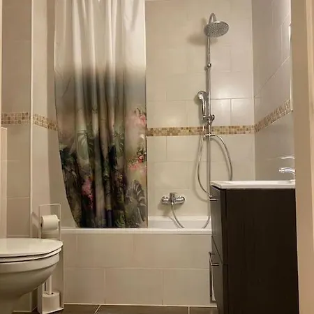Avenue Louise Appartement