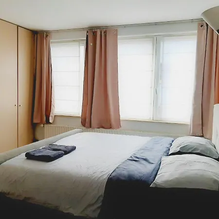 Maison Confortable A Proximite De L'atomium Apartment *