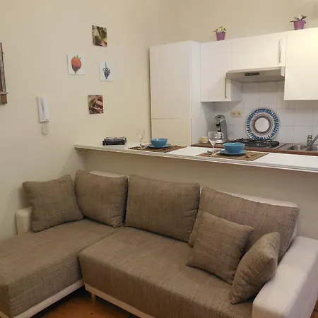 Central Flats Apartment