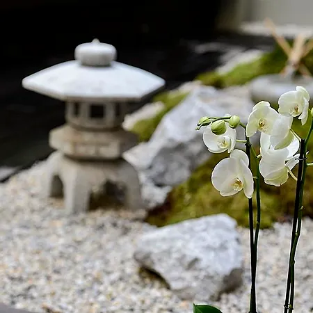 Yadoya