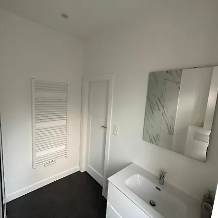 Renove Apartment Brussels