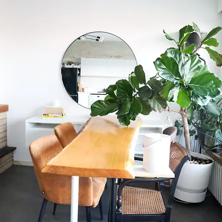 Furnished - Bright, Modern In Brussels, 15 Minutes Walk From The Atomium Apartment Brussels