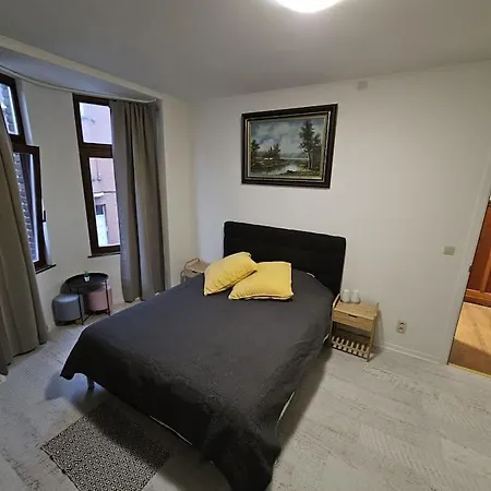 Beautiful, Renovated Fully Self Contained Brussel