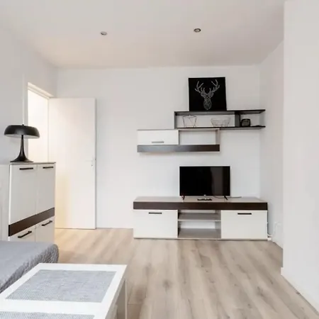 Beautiful Fully Renovated Brussel