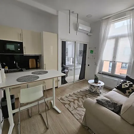 Cosy Studio Center Of Brussels