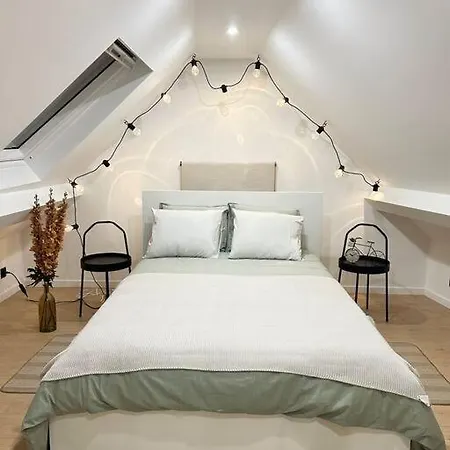 Magnifique Duplex Brussel