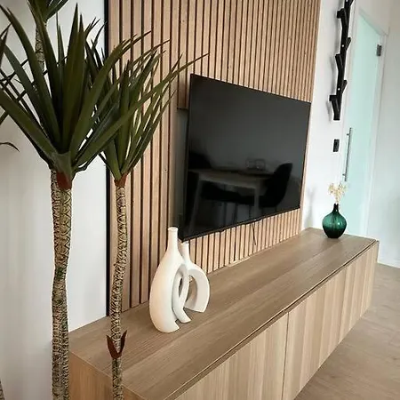 Magnifique Duplex Appartement