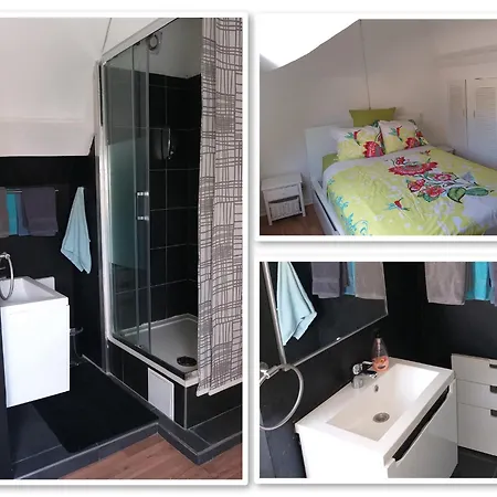 Apartment Zolo