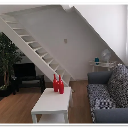 Apartment Zolo *