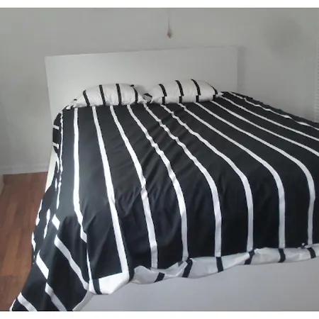 Apartment Zolo