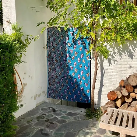 Homestay Calm, & Birdsong Brussels